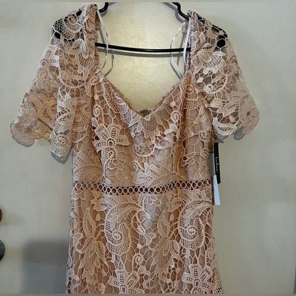 Lulus Briarwood Blush Pink Lace Ruffled
Midi Dress - Picture 6 of 8